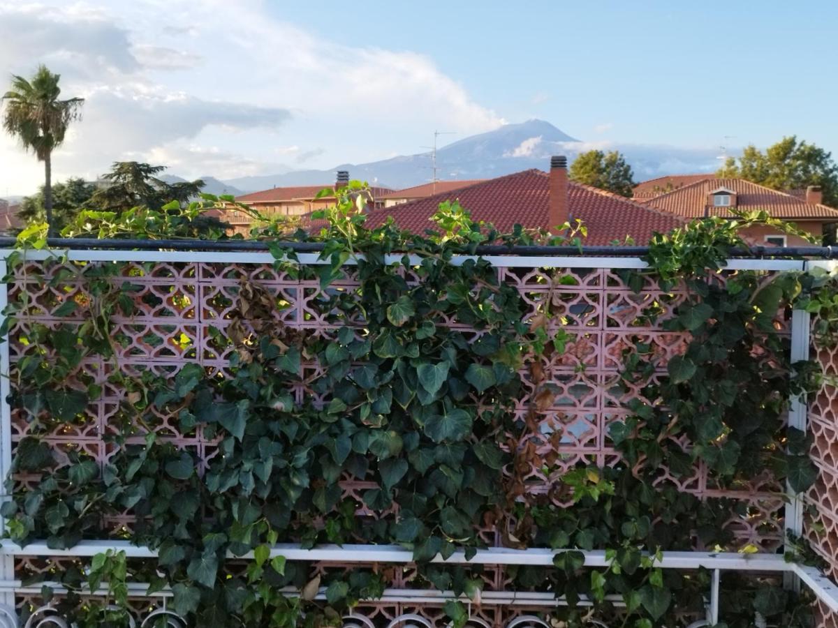 Greenhouse マスカルチーア エクステリア 写真